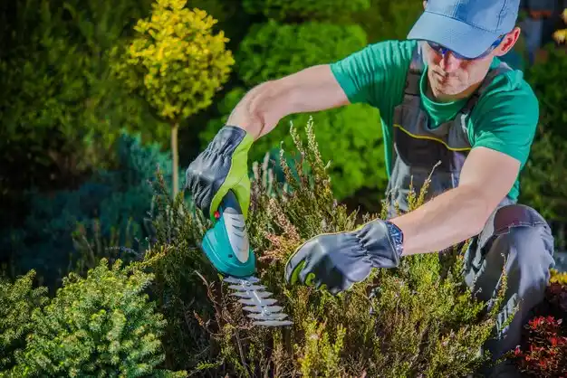 landscaping services Chardon